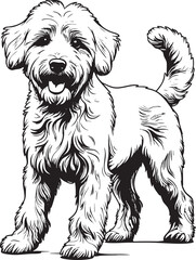 Black and White Goldendoodle Dog Vector Illustration