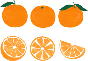 Fresh hand-drawn orange vector illustration, hand-drawn tangerine illustration, citrus with leaves, sliced orange, tangerine, oranges, tangerine fruit pattern, healthy food, vitamins, menu, drink menu