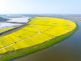 Aerial photography of rapeseed flowers, spring in China