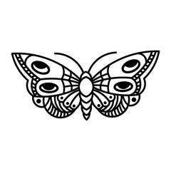 Mystical insect illustration with decorative details