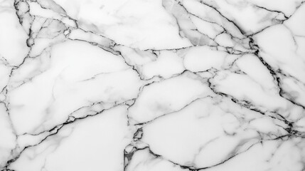 Elegant White Marble Background with Dark Veins and Textures