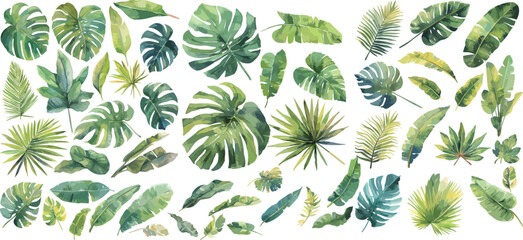 tropical leaf watercolor clipart
