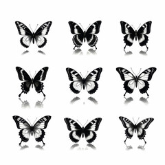 Nine Black and White Butterflies with Reflections