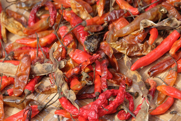 Close up red chilies being dried in the sun.Chilli are starting to dry.For graphic design,3D rendering or banner background