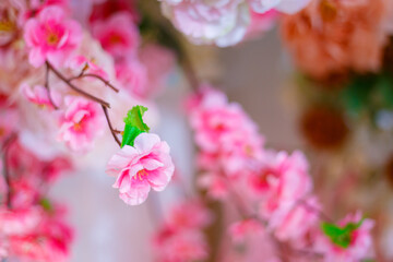 wedding decoration flower backdrop, colorful background