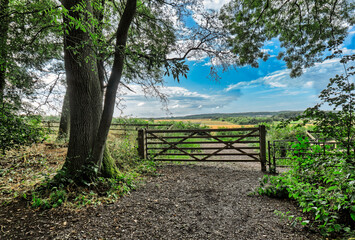 Fototapeta premium wooden gate countryside England, gated entrance at the farm in UK, dirt road in the forest