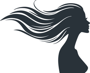 Silhouette of a woman long hair 1