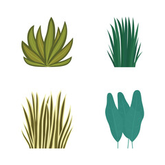 Elements Set of Fresh Tropical Leaves Foliage Grass Natural Plant in the Park Garden