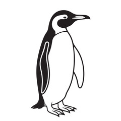 Obraz premium penguin vector