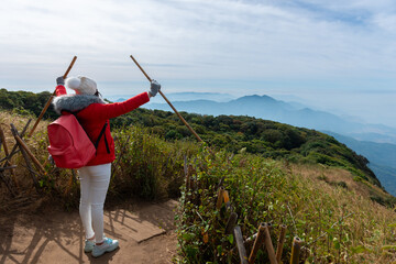Female hiker exploring the beauty of nature while trekking through the mountains, surrounded by lush greenery and scenic views
