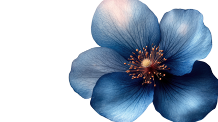 Poppy in Vivid Blues: A captivating macro shot of a single, delicate poppy, showcasing its velvety petals in gradients of blue, its center a sunlit burst of warm hues.
