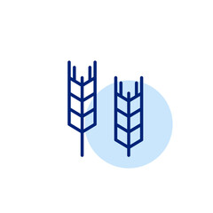 Ears of wheat. Allergen warning, grain-based ingredients. Pixel perfect, editable stroke vector icon