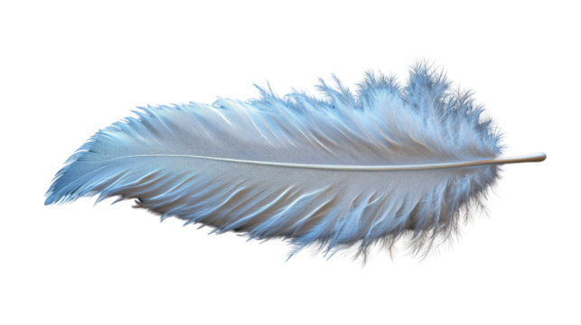 Feather's Light Embrace: Capturing the delicate beauty of a single, soft feather in a moment of serene elegance, expressing lightness and freedom