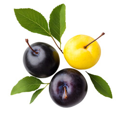 Ripe plums fruits with green leaves isolated on white and transparent background. PNG cutout.	
