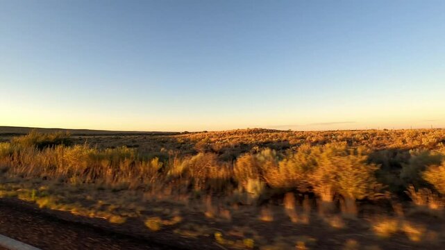 Arizona Driving 2918 Petrified Forest National Park