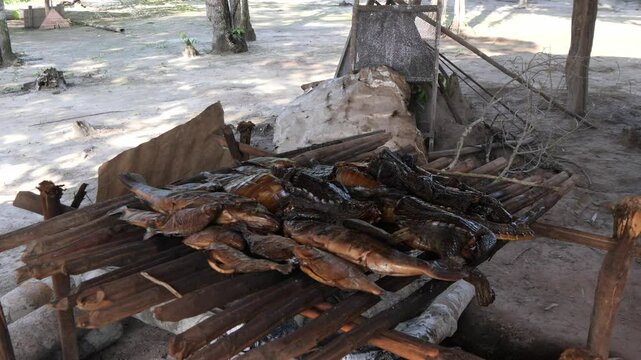 Amazonian Indigenous tribe - kubewa - rio negro amazon river - alligator, fish