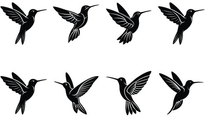 Hummingbird Icon on Flat Color Circle Buttons. Hummingbird Vector Shilhouette Bundle Set Collection.