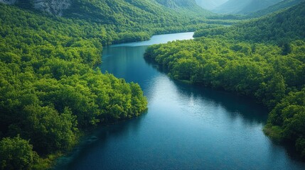 Fototapeta premium Serene River Winding Through Lush Green Forest
