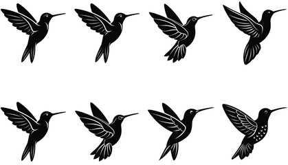 Hummingbird Icon on Flat Color Circle Buttons. Hummingbird Vector Shilhouette Bundle Set Collection.