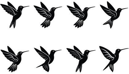 Hummingbird Icon on Flat Color Circle Buttons. Hummingbird Vector Shilhouette Bundle Set Collection.