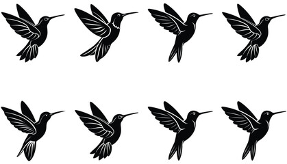 Hummingbird Icon on Flat Color Circle Buttons. Hummingbird Vector Shilhouette Bundle Set Collection.