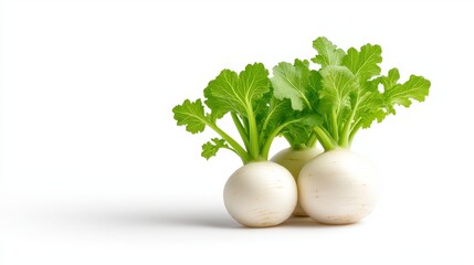 Fresh white radishes with vibrant green tops