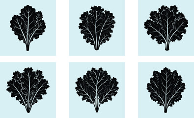 Kale silhouette vector