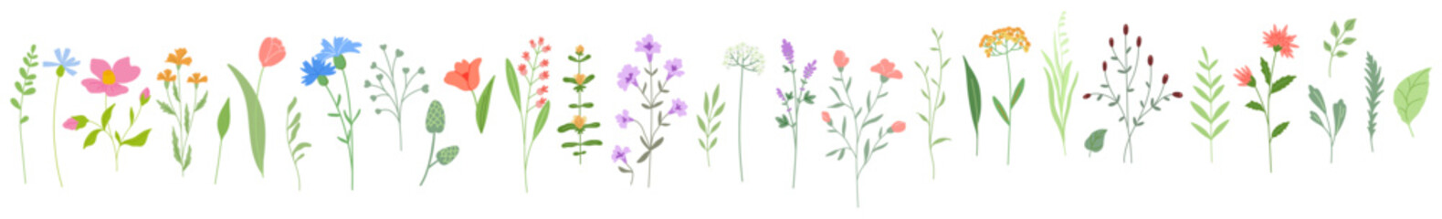 Obraz premium Spring and summer flowers, branches and leaves set, blooming garden and meadow plants for decoration. Botanical flat vector illustrations isolated on white background