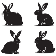 rabbits vector illustrations