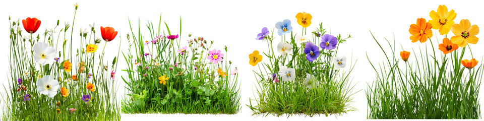 A beautiful collection of colorful wildflowers and plants thriving in a serene grassy meadow during the springtime