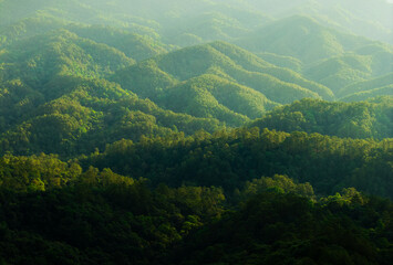Fototapeta premium Landscape, forest and green mountains in summer in Asia