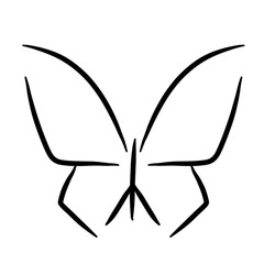 Fototapeta premium black and white butterfly