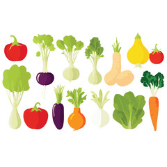 food, fresh, diet, organic, healthy, background, vegetable, green, garden, health, vegetarian, tomato, vegetables, farm, natural, nutrition, carrot, ingredient, agriculture, vegan, harvest, vitamin, f