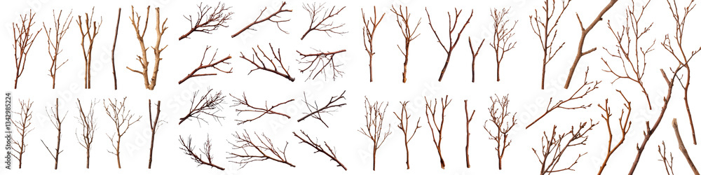 Poster detailed abstract composition of a forest landscape in winter with an intricate network of bare gnar