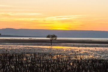 East Sumba, East Nusa Tenggara , Indonesia – 05 . 09. 2024 –  mangroves, the beach, the sea...