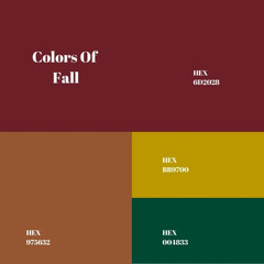 Autumn Aura: A Cozy Fall Color Palette