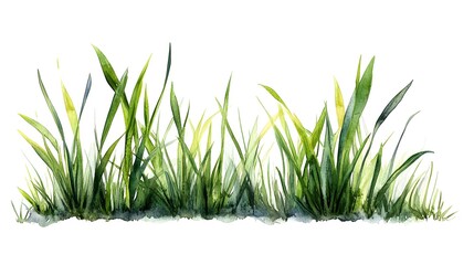 Obraz premium Watercolor Painting Depicting Lush Green Blades of Grass