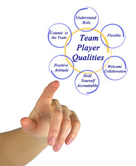Six Qualities of  Team Player