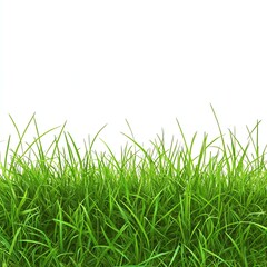 Obraz premium Close-up of Green Grass Blades Against White Background with Copy Space