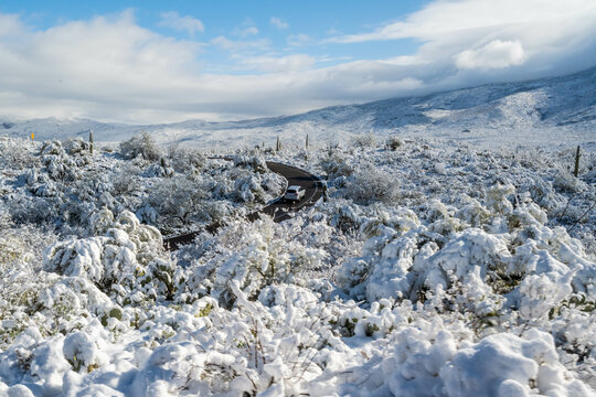 Snow Capped Serenity in Saguaro National Park, Arizona