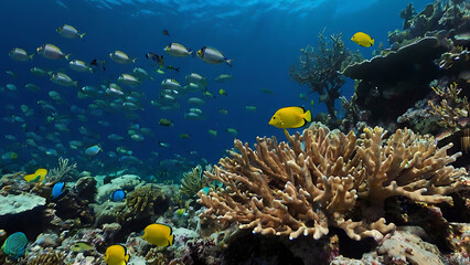 Naklejka premium Exploring Vivid Coral Reef Ecosystem with Tropical Fish Underwater World