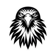 eagle vector illustration