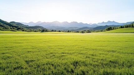 Fototapeta premium Lush green field stretches to distant mountains under a bright sky