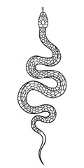 Snake Line Art Illustration. Tattoo Design and Inspiration. Vector Graphic