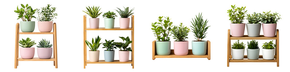 Fototapeta premium Stylish wooden shelves displaying an assortment of vibrant potted plants and succulents creating a lush and soothing indoor decor for the home