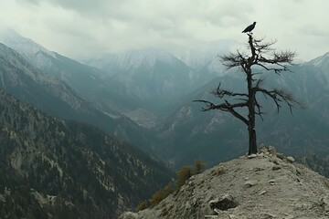 Mountaintop Solitude  Bird on Barren Tree