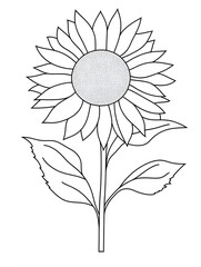 Outline of a sunflower