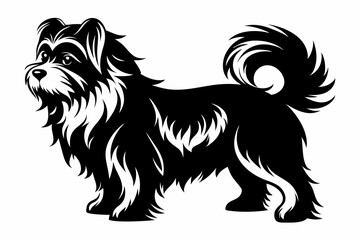 affenpinscher line art silhouette vector illustration