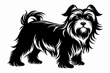 affenpinscher line art silhouette vector illustration