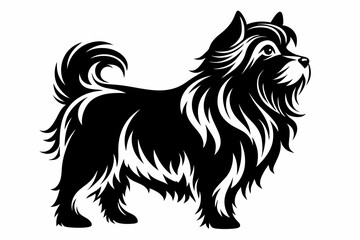affenpinscher line art silhouette vector illustration